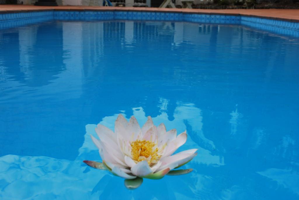 Casa Bella Motel 3*